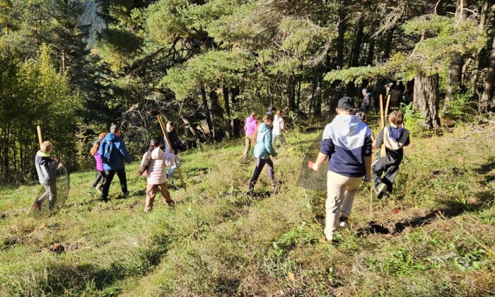 BBE : A Briançon, les enfants plantent la forêt de demain !