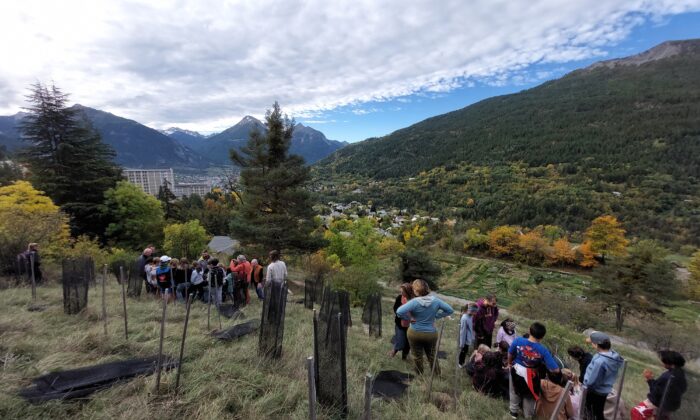 Une journée de sensibilisation et de plantation avec les élèves de Briançon 